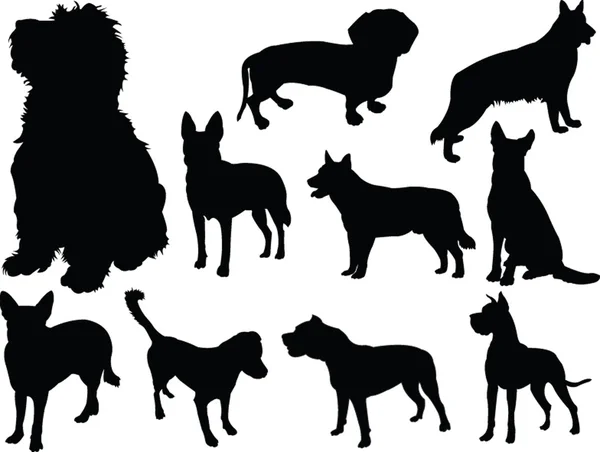 Коллекция собак 2 — стоковый вектор