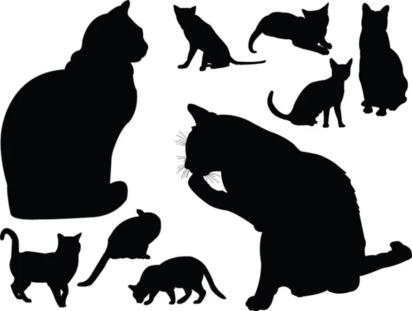 Koleksi kucing - Stok Vektor