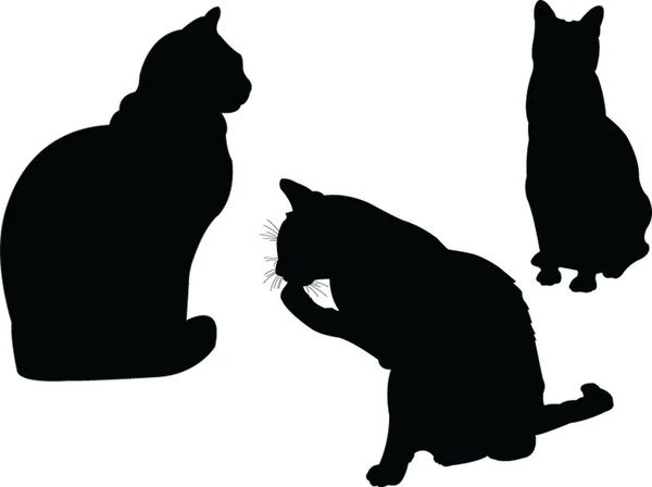 Kočka kolekce 2 — Stockový vektor