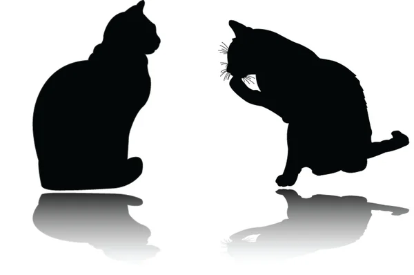 Dos gatos con sombra — Vector de stock