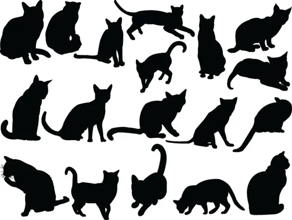 Colección gato — Vector de stock