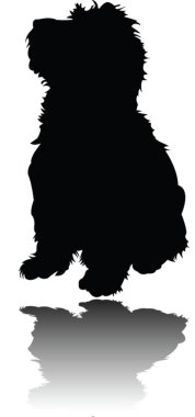 Little puppy with shadow clipart