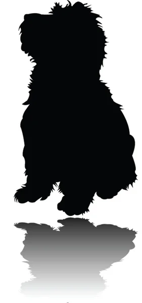 Pequeño cachorro con sombra — Vector de stock