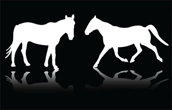 Koně — Stockový vektor
