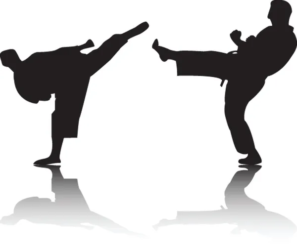 Combattenti di karate — Vettoriale Stock