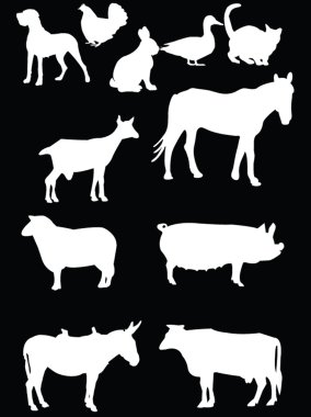 Domestics animal 2 clipart