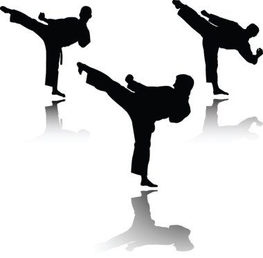 Karate fighter clipart