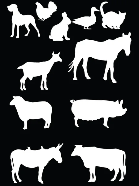 Domestique animal 2 — Image vectorielle
