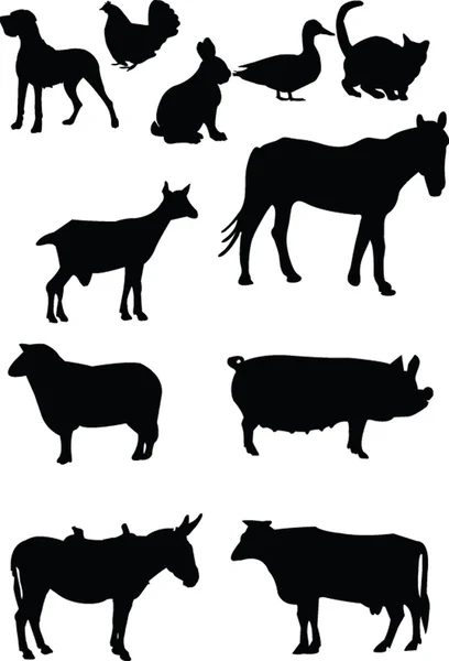 国货动物 — 图库矢量图片