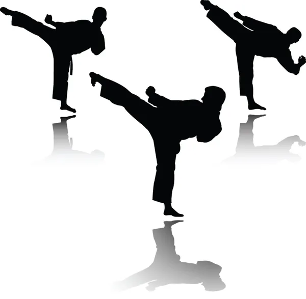 Karate-Kämpfer — Stockvektor