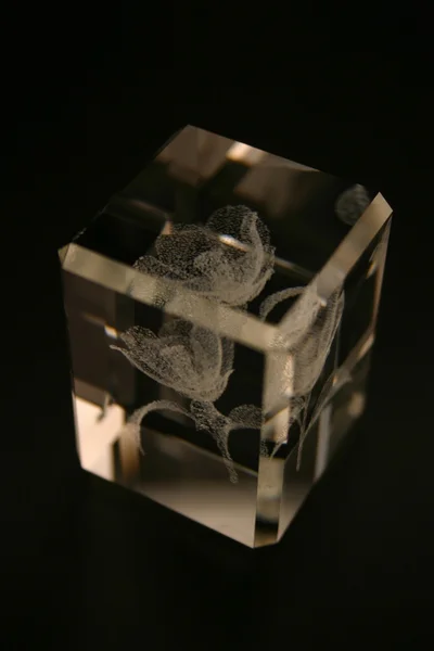 stock image Crystal Cube