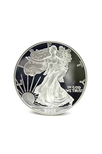 Один серебряный доллар Стоковая Картинка