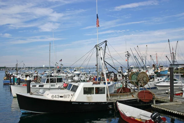Provincetown Marina — Zdjęcie stockowe