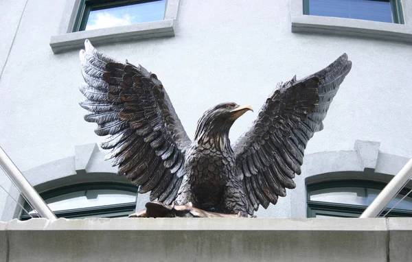 Águila de hierro —  Fotos de Stock