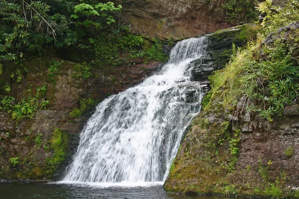 stock image Waterfall