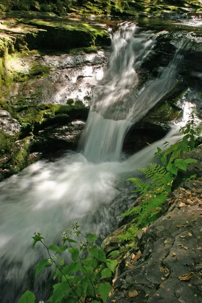 stock image Waterfall