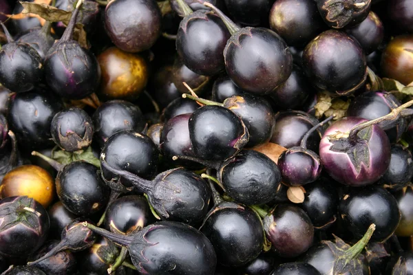 Indian Eggplant — Stock Photo, Image