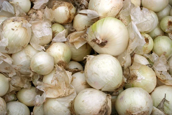 White Onions — Stock Photo, Image