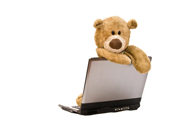 Медвежонок Тедди и современный серебряный ноутбук — стоковое фото