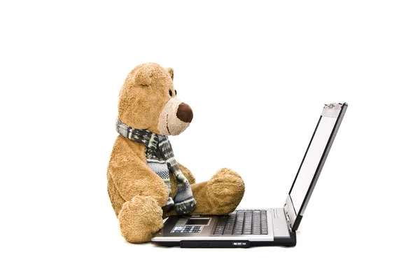 Медвежонок Тедди и современный серебряный ноутбук — стоковое фото