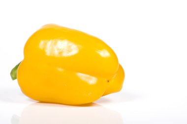 Clolored kırmızı biber