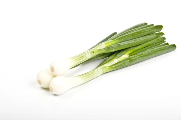Cebolla verde —  Fotos de Stock
