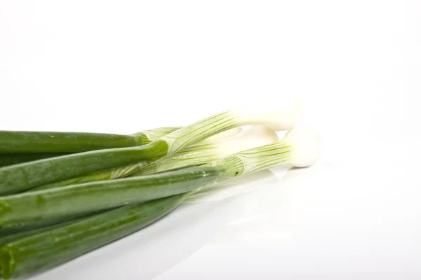 Зеленый лук — стоковое фото
