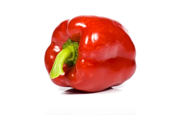 Clolored paprika — Stock Photo, Image