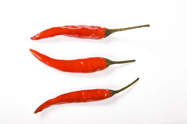 stock image Red hot chili pepper