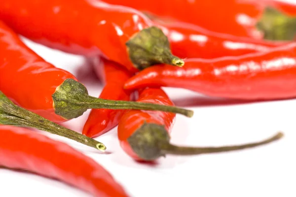 stock image Red hot chili pepper