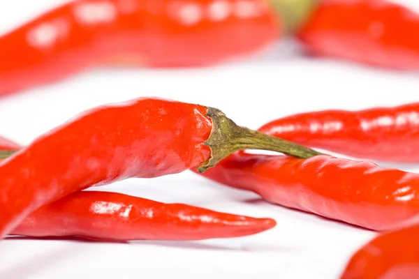 stock image Red hot chili pepper