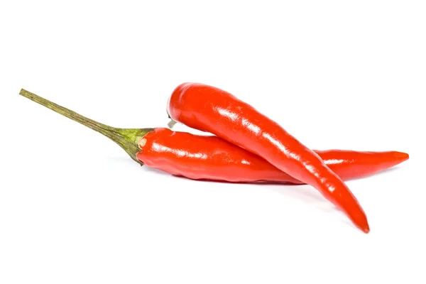 Red hot chili pepper — Stock Photo, Image