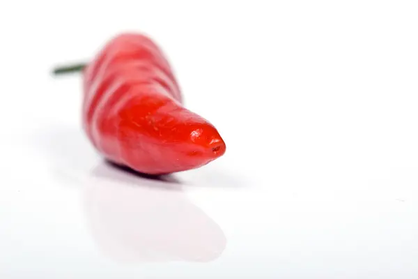 Красный острый перец чили — стоковое фото