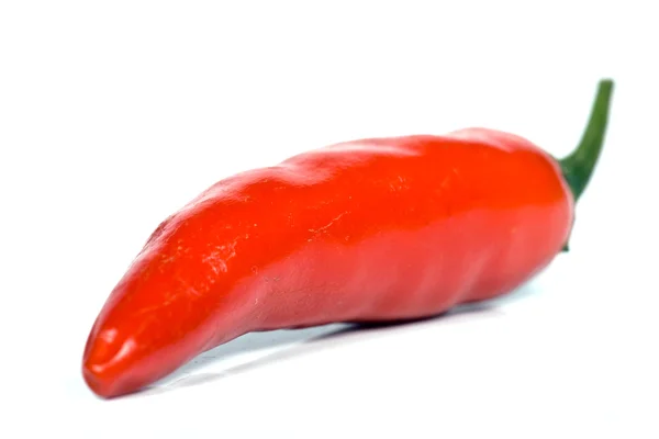 Peperoncino rosso piccante — Foto Stock