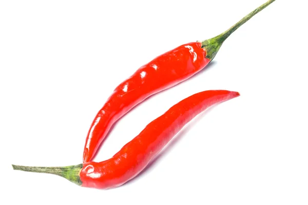 stock image Red hot chili pepper