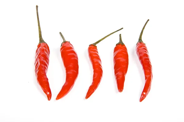 stock image Red hot chili pepper