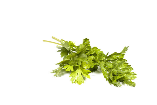 Green parsley