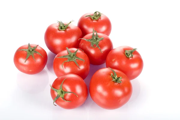 Perfecte verse rode natte tomaten Stockafbeelding