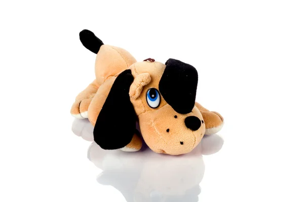 갈색 강아지 장난감 — 스톡 사진