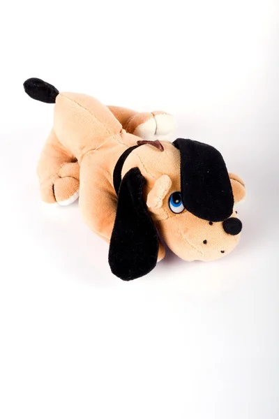 Brown doggy toy — Stock Photo, Image