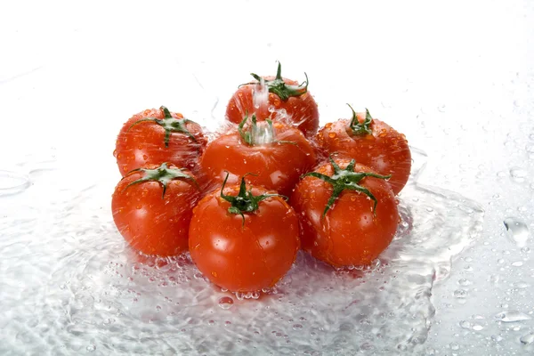 完璧な赤いウェット トマト — ストック写真