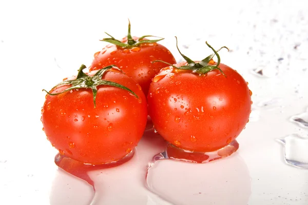 完璧な赤いウェット トマト — ストック写真