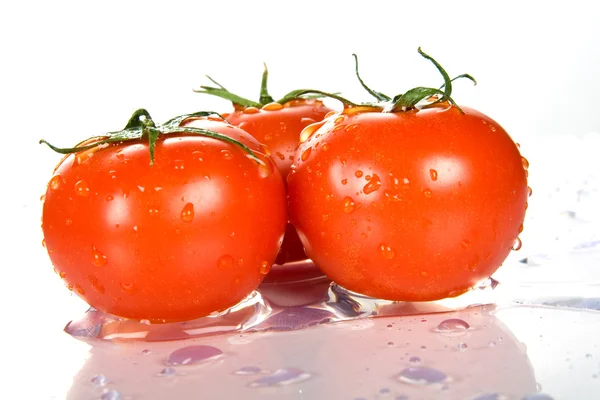 Tomates molhados vermelhos perfeitos — Fotografia de Stock