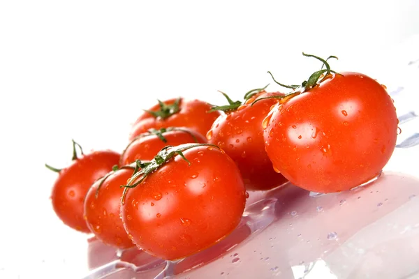 Tomates húmedos rojos frescos perfectos —  Fotos de Stock