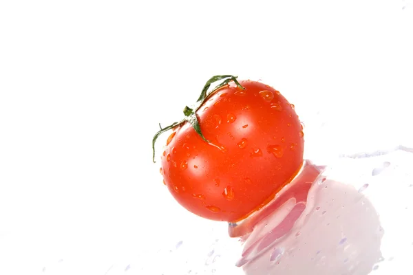 Doskonałe świeże czerwone pomidory mokre — Zdjęcie stockowe