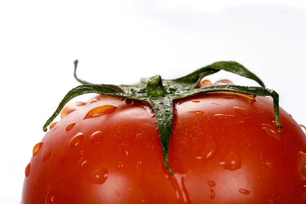 Doskonałe świeże czerwone pomidory mokre — Zdjęcie stockowe