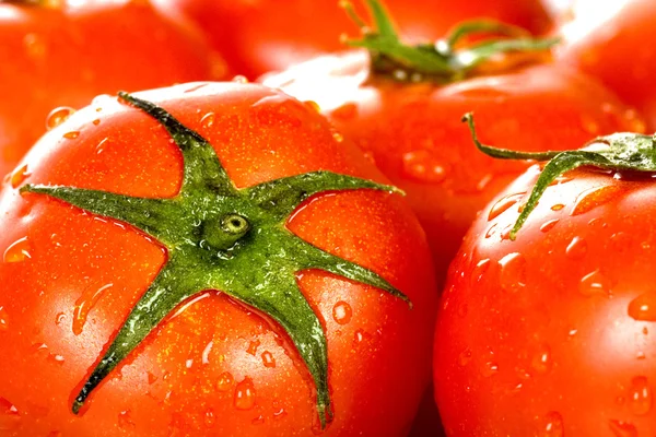 Повредить свежие красные влажные помидоры — стоковое фото