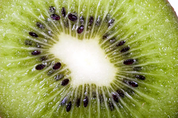 Kiwi isoliert auf weiß — Stockfoto