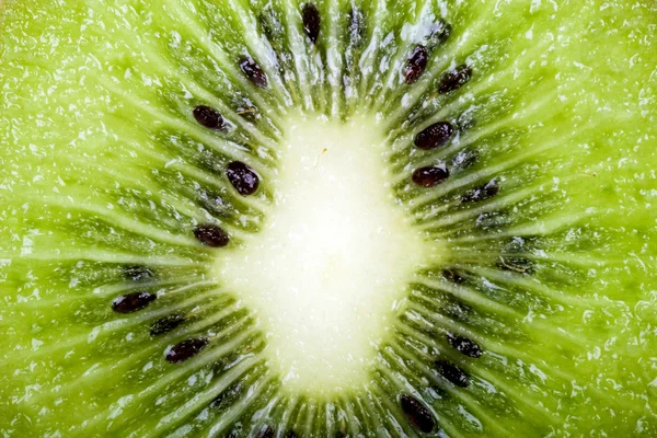 Kiwi izolat pe alb — Fotografie, imagine de stoc
