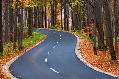 Country road in autumn clipart